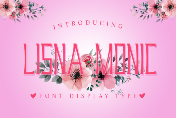 Lisna Monic Font Review: Squared Display Type for Cute Branding